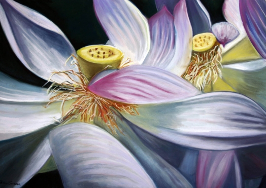 Lotus, Pastel artwork by Kauai artist Helen Turner