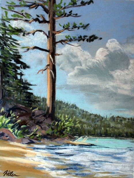 Pine in the afternoon, Pastel artwork by Kauai artist Helen Turner