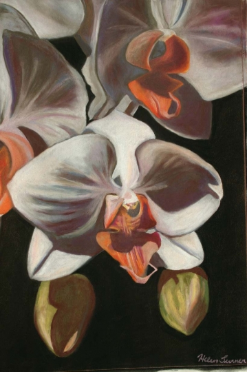 windstorm orchids, Pastel artwork by Kauai artist Helen Turner